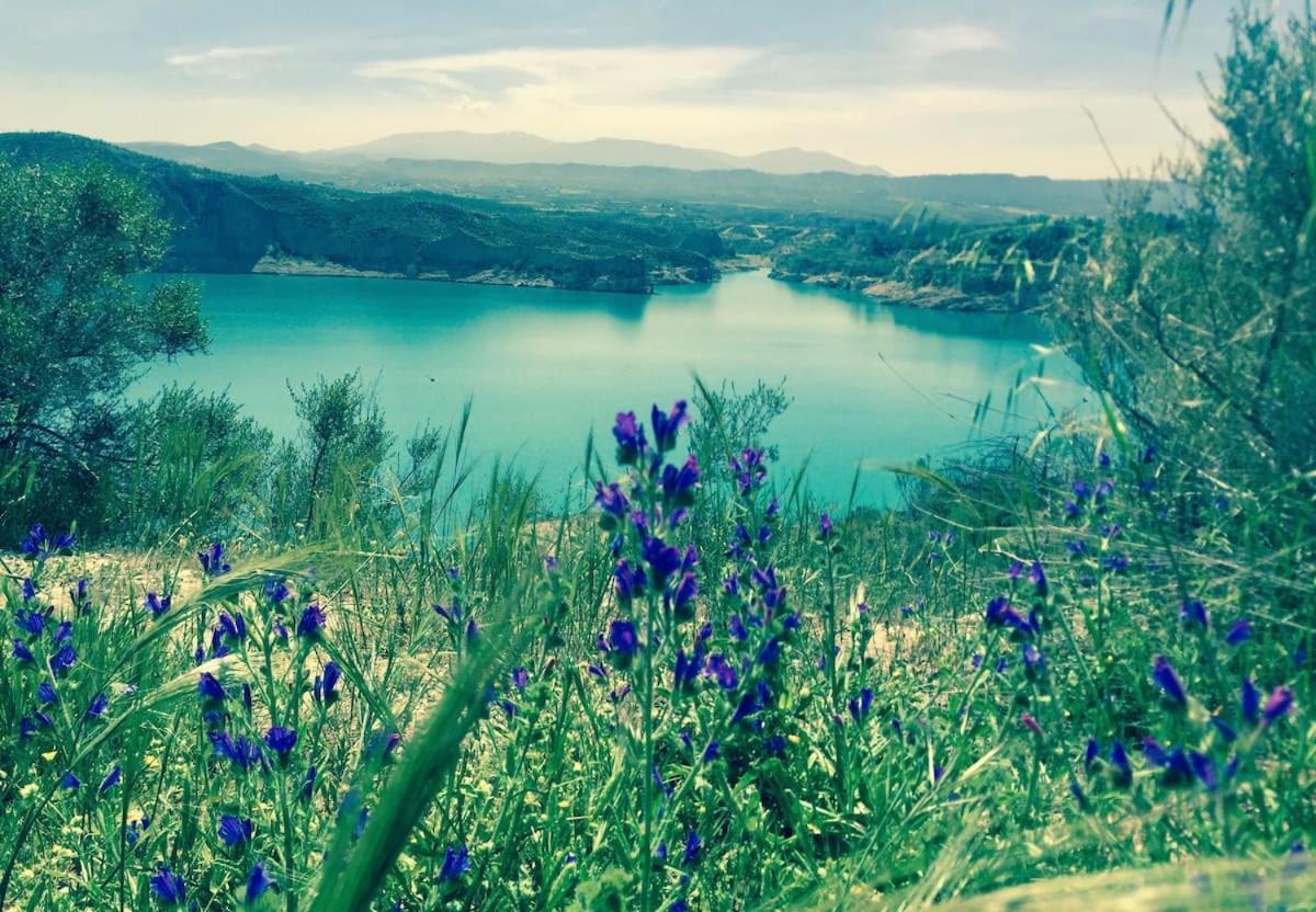 Cortijo Paraiso Charcon Higuera Εξωτερικό φωτογραφία
