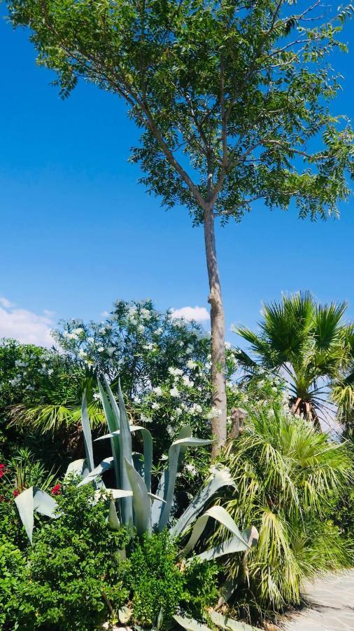 Cortijo Paraiso Charcon Higuera Εξωτερικό φωτογραφία
