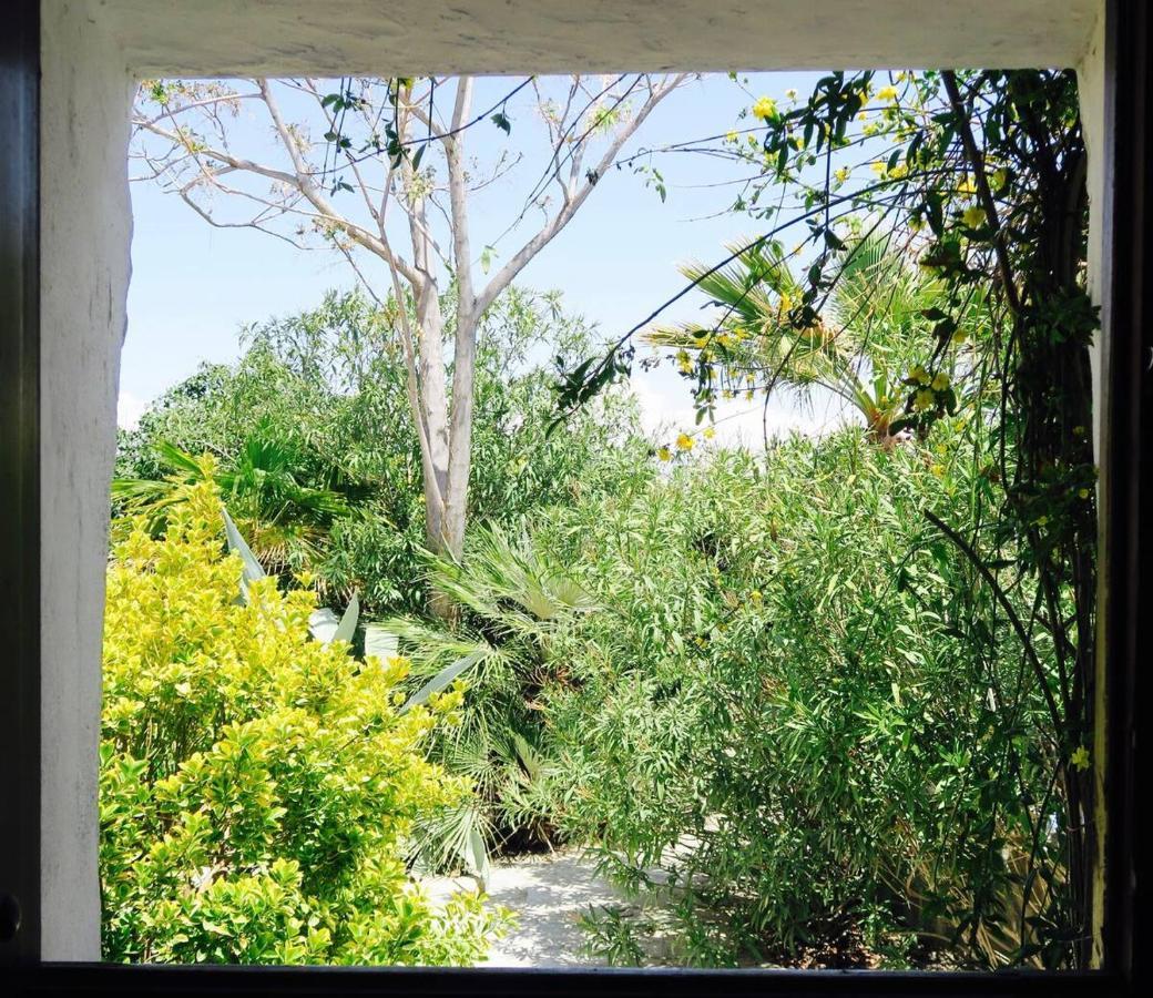 Cortijo Paraiso Charcon Higuera Εξωτερικό φωτογραφία